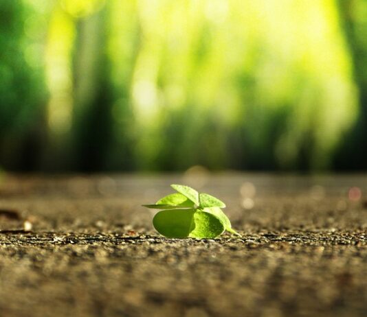 Jak znaleźć przyjaciela po 50 tce?