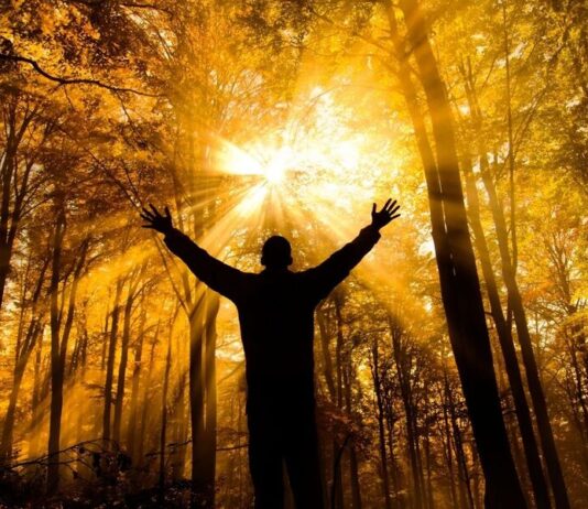 Twórczość Osho Twórczość Osho